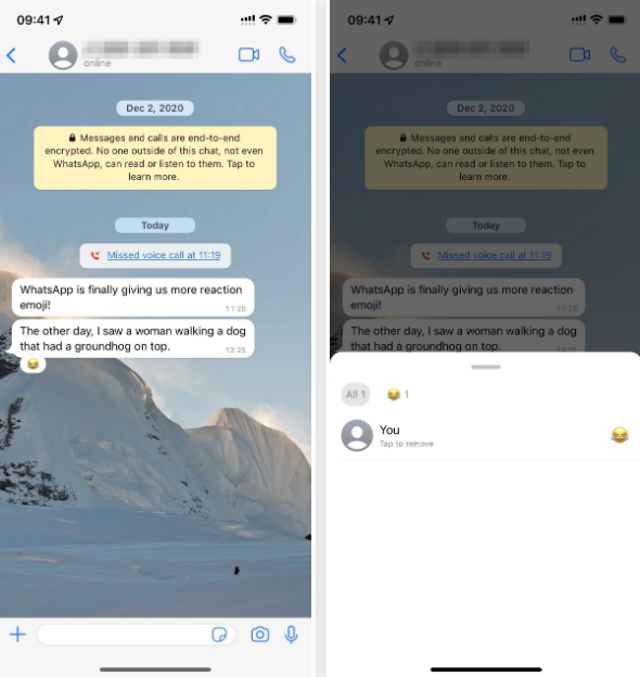 不同设备如何向WhatsApp消息添加、查看、改变以及删除反应?