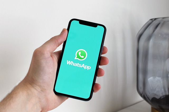 WhatsApp群控:连接与管理的力量