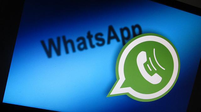 在 WhatsApp 上显示联系人姓名的 4 种方法